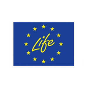life logo