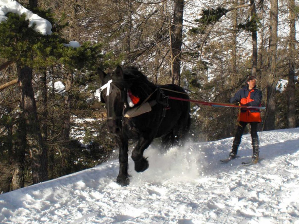 ski joering la colmiane