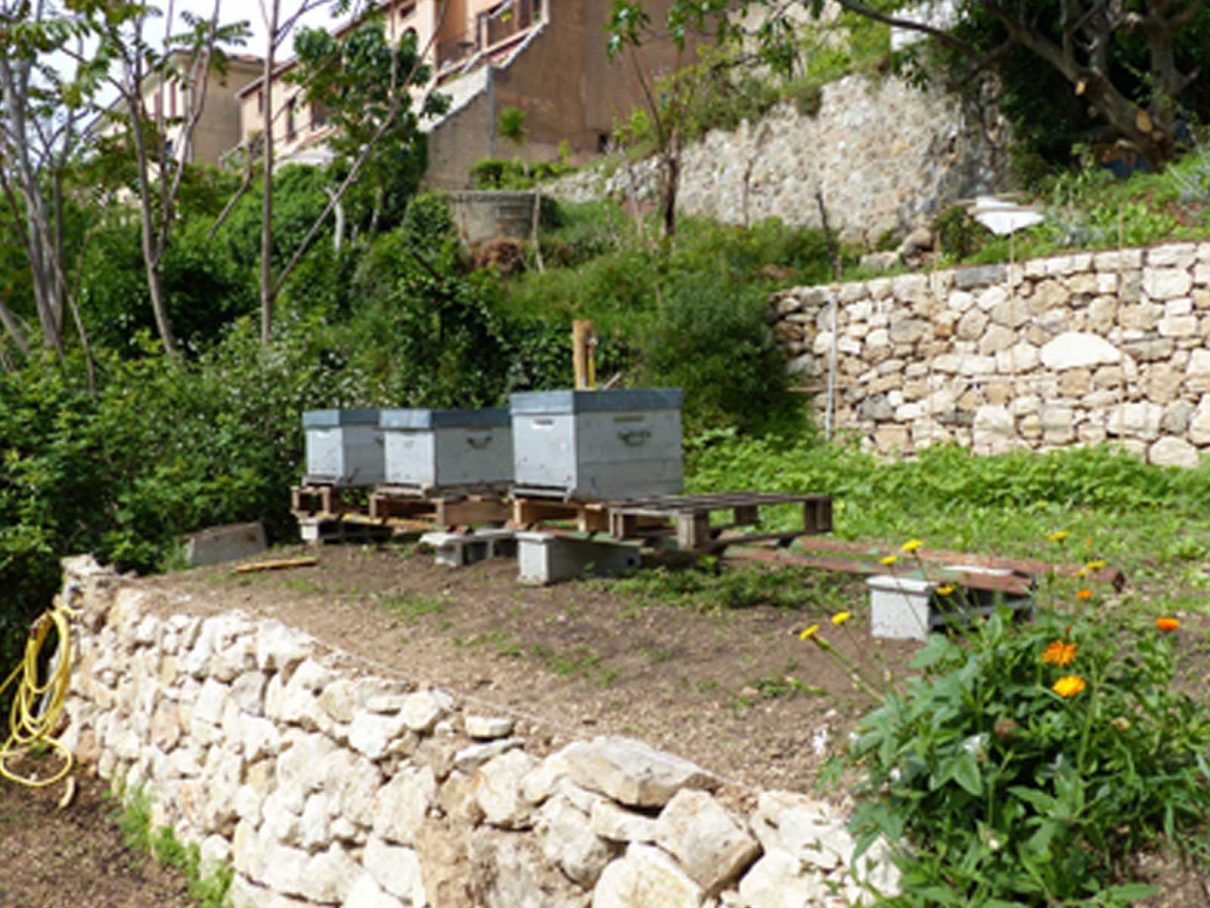 SAINT-JEANNET Création d’un jardin/rucher partagé