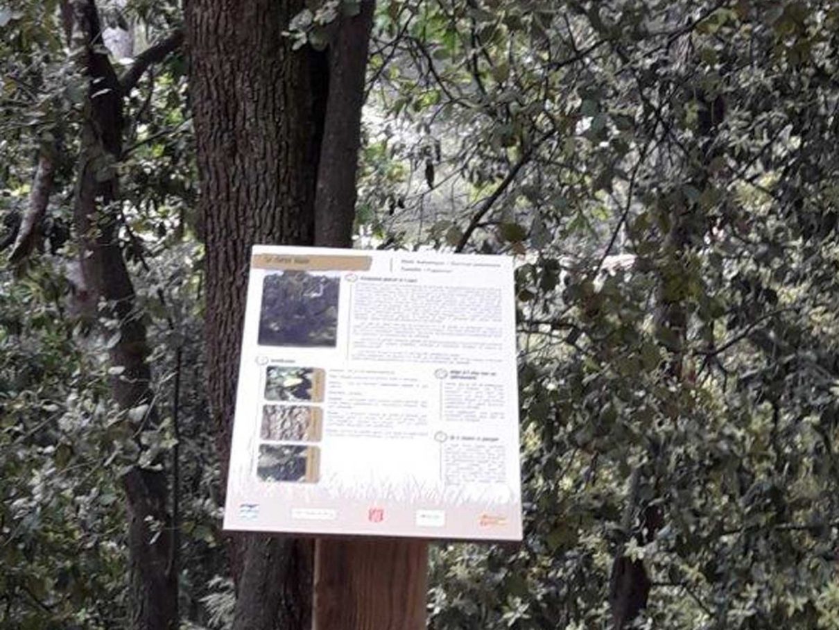 SAINT-LAURENT-DU-VAR Aménagement durable de la forêt des Pugets