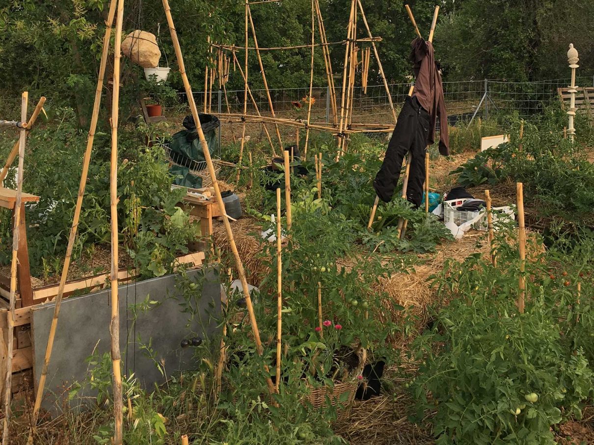 Jardins familiaux de Gattières