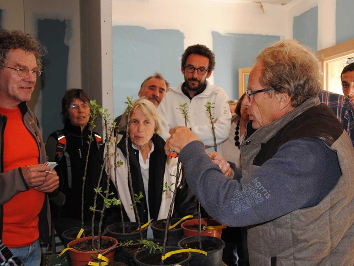 VENANSON Création d’un verger conservatoire