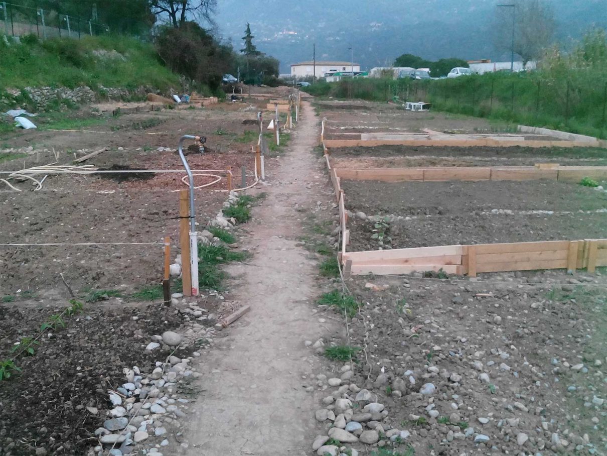 jardins partagés sur le terrain de la Douane